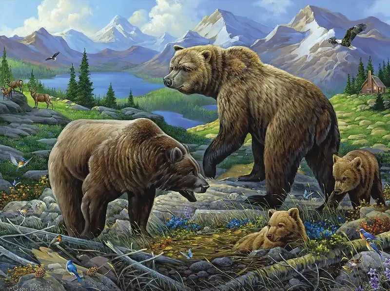 Grizzly Country