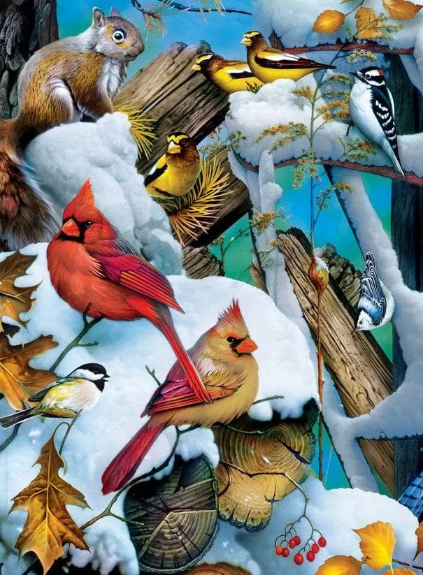 Snow Birds