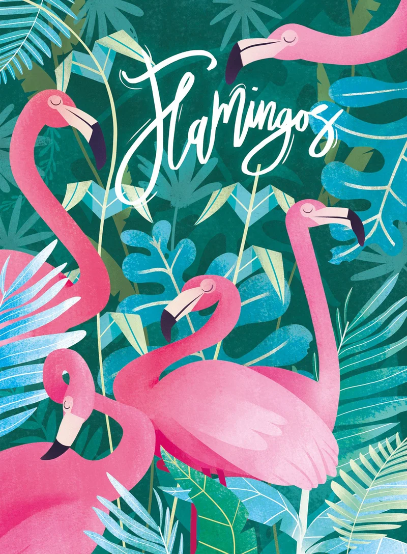 Flamingos