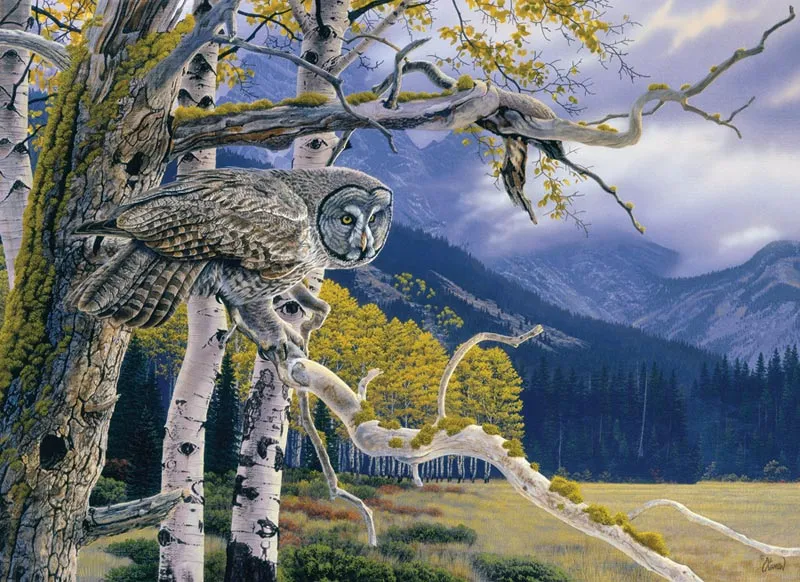 Great Grey Owl