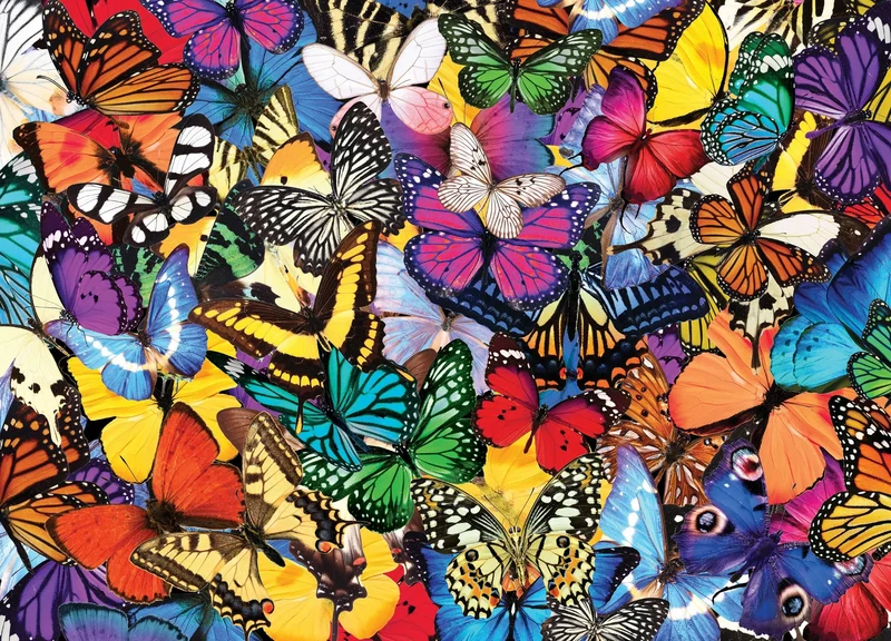 All the Butterflies