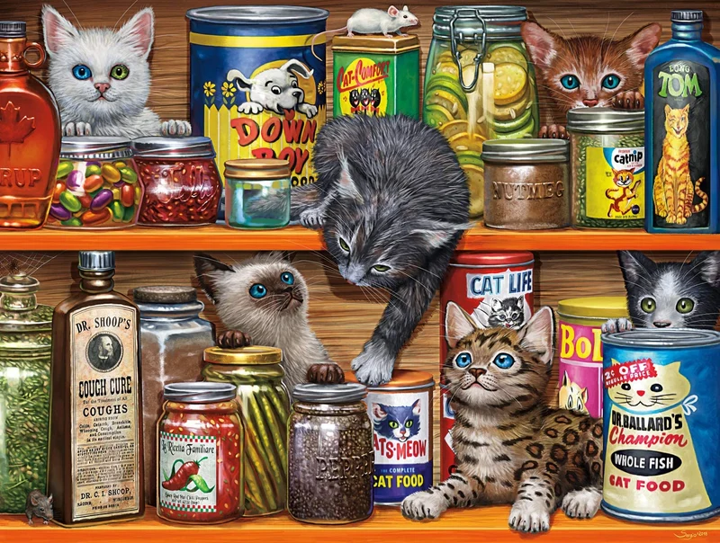 Spice Rack Kittens