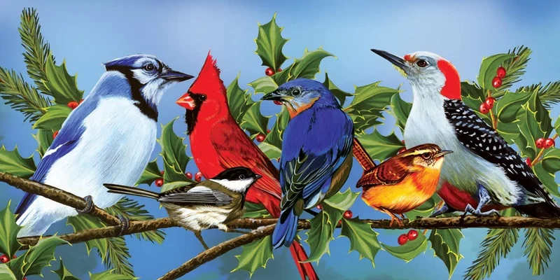 Singing with Four Tenors