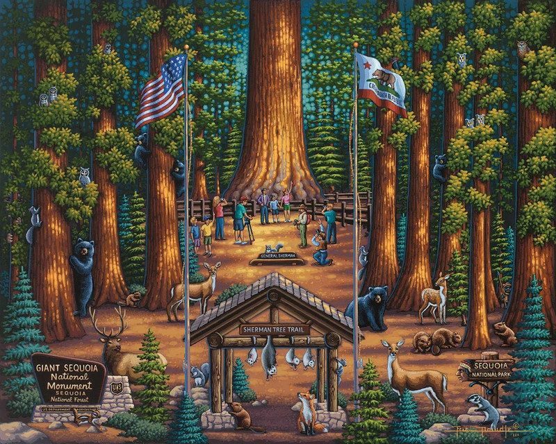 Sequoia