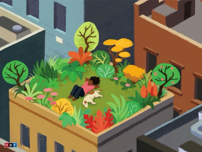 Rooftop Relaxation