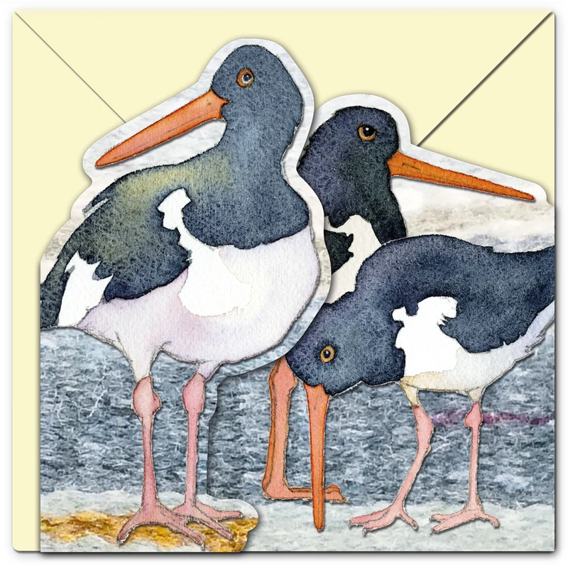 Oystercatchers - Two fold card / Dubbelvikt kort med kuvert - Emma Ball