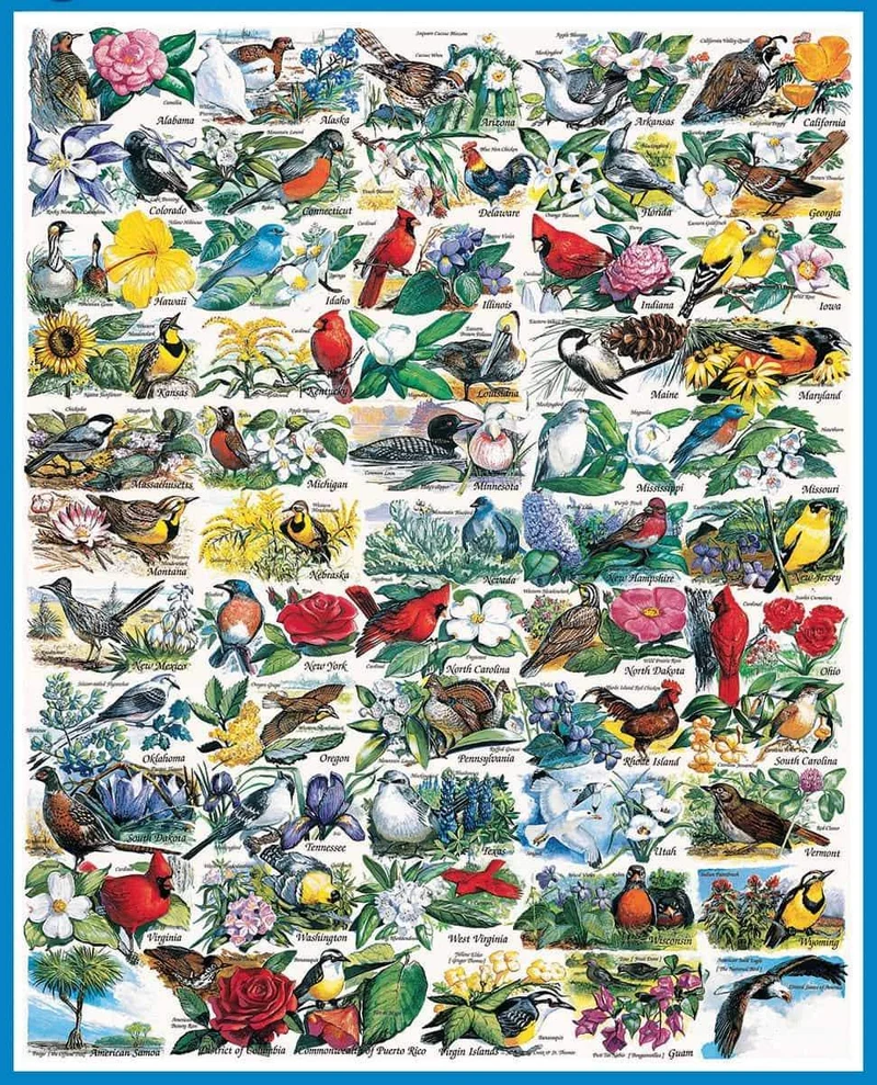 State Birds & Flowers