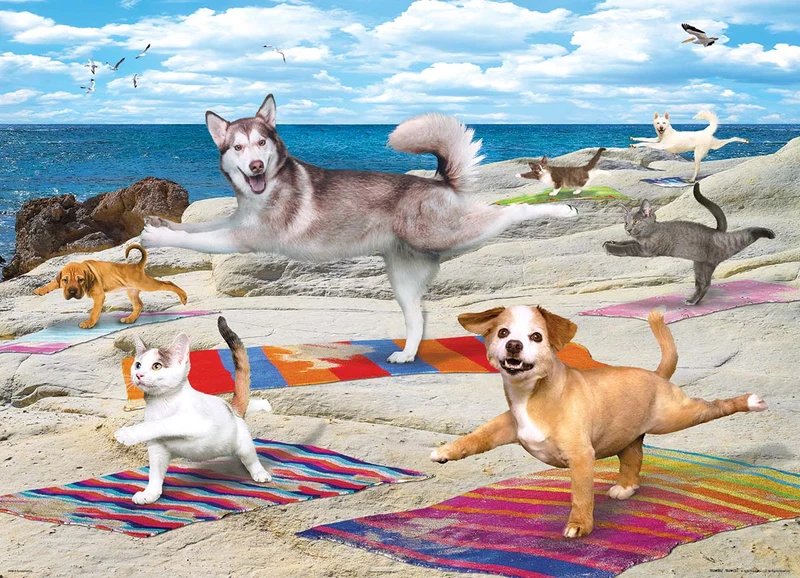 Yoga Beach