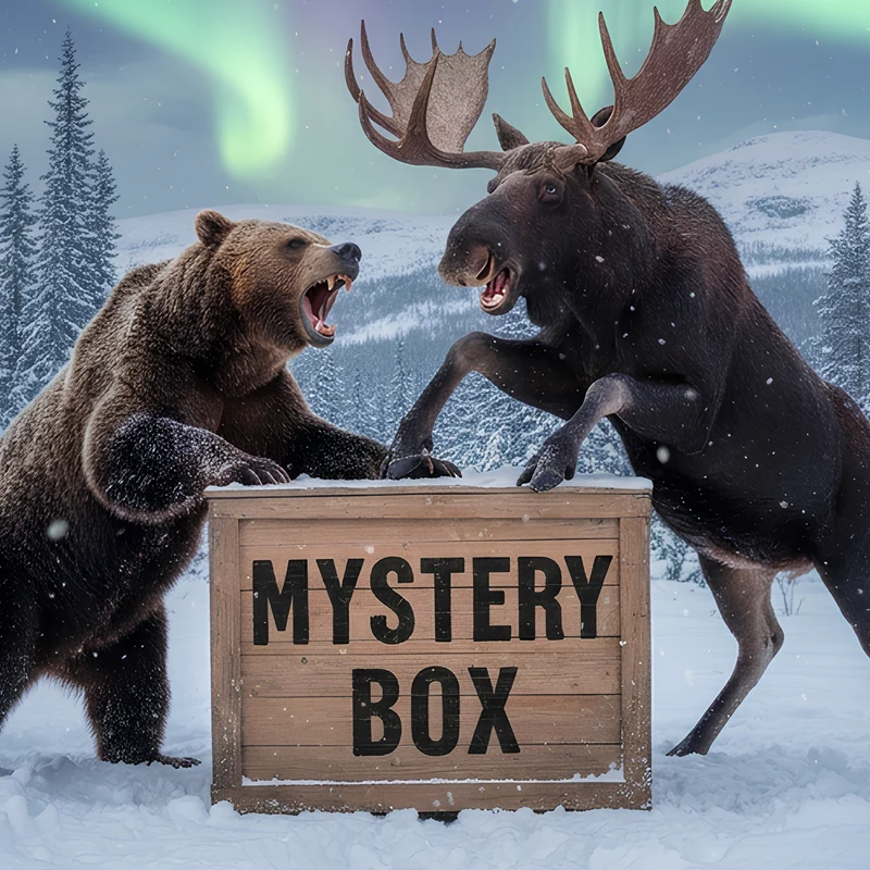 Mystery Box | Norrlänning.com