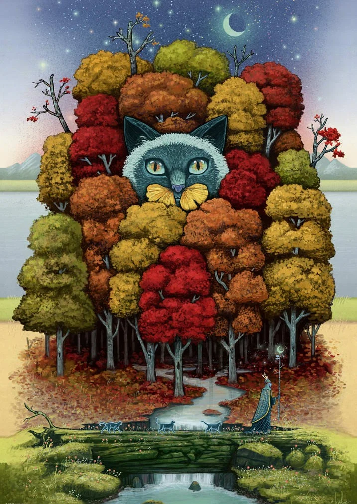 Take a Trip With Andy Kehoe