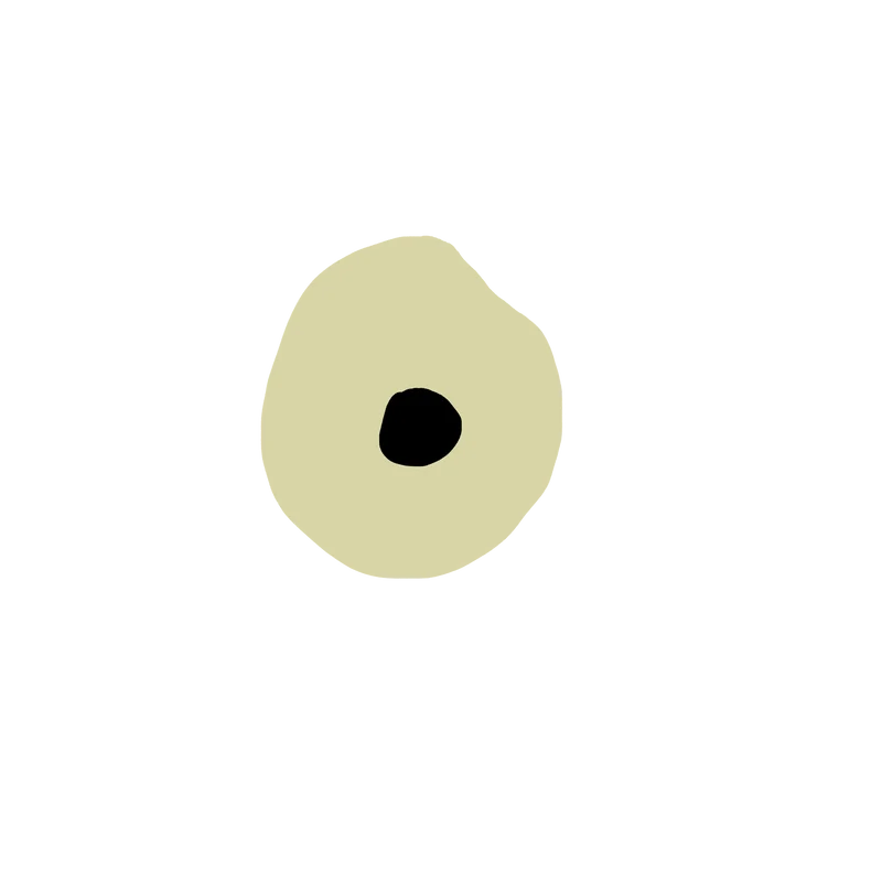 Eyeball