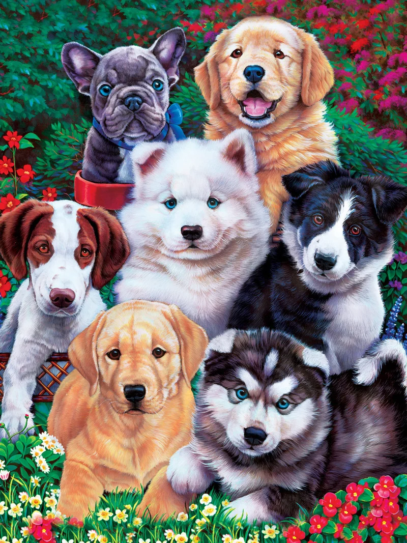 Fluffy Fuzzballs