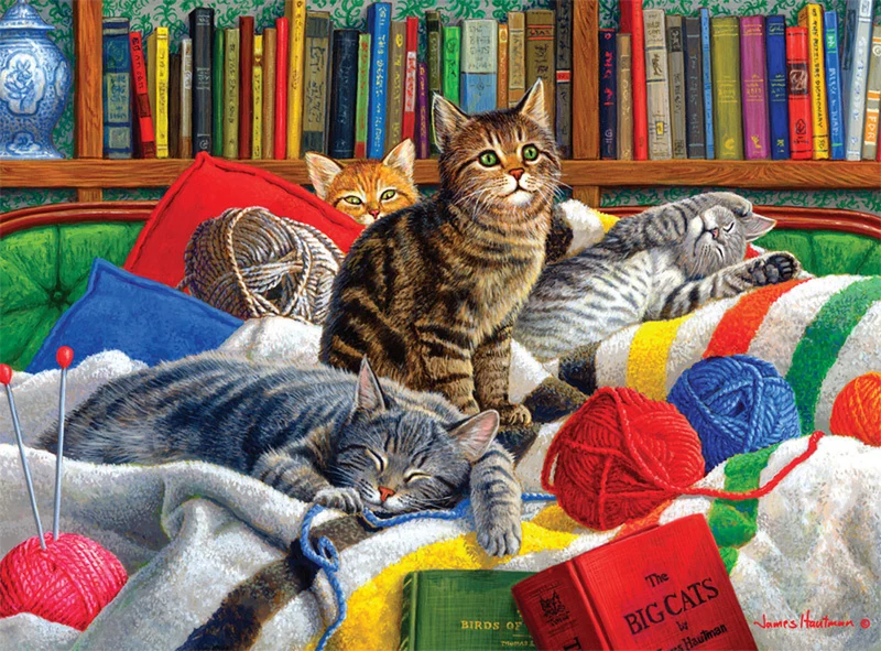 Library Kitties