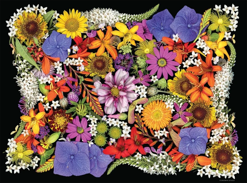Posy Patch