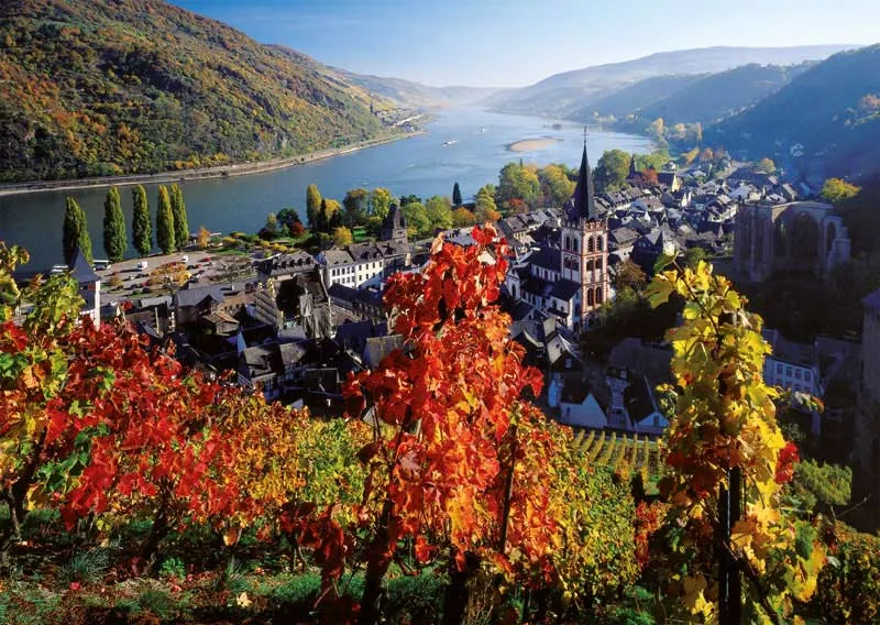 On the River Rhine