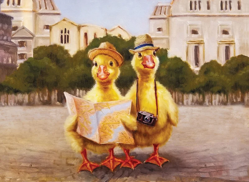 Duck Tours