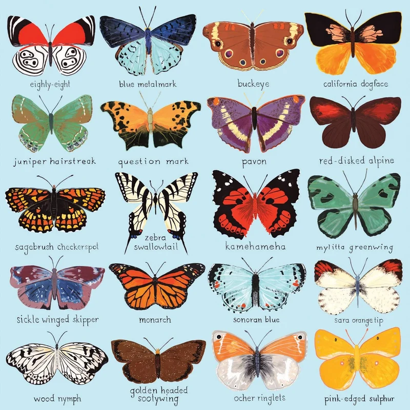 Butterflies of North America