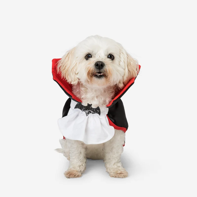 Pet costume - Dracula