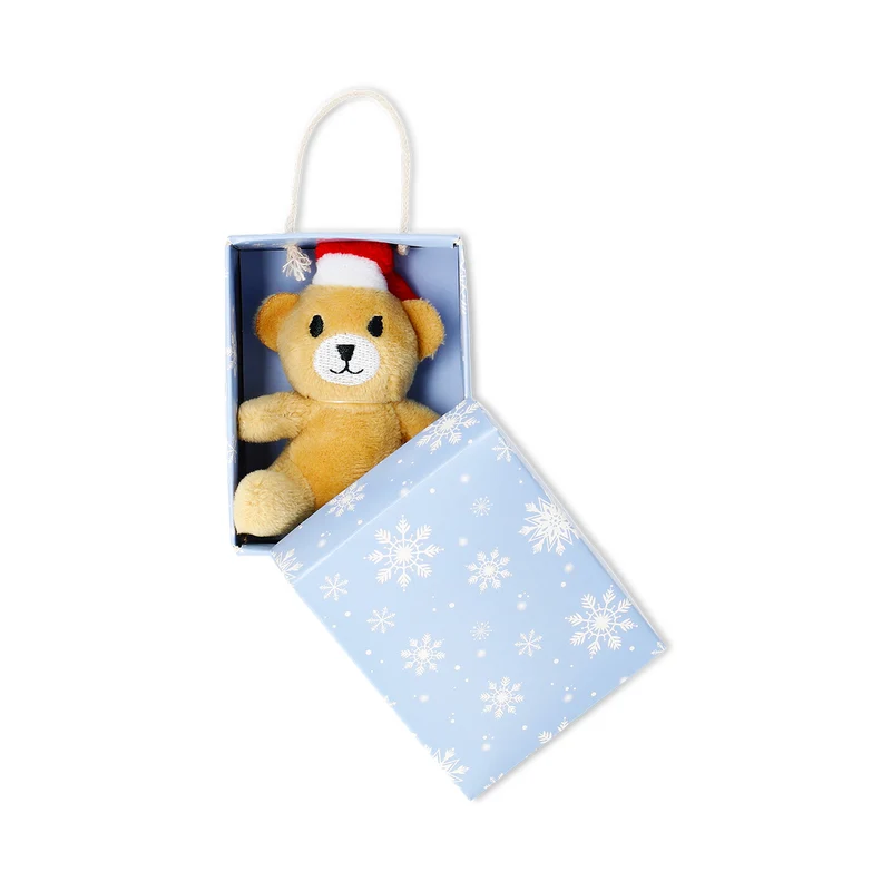 Plush toy - Mini teddy bear in a box