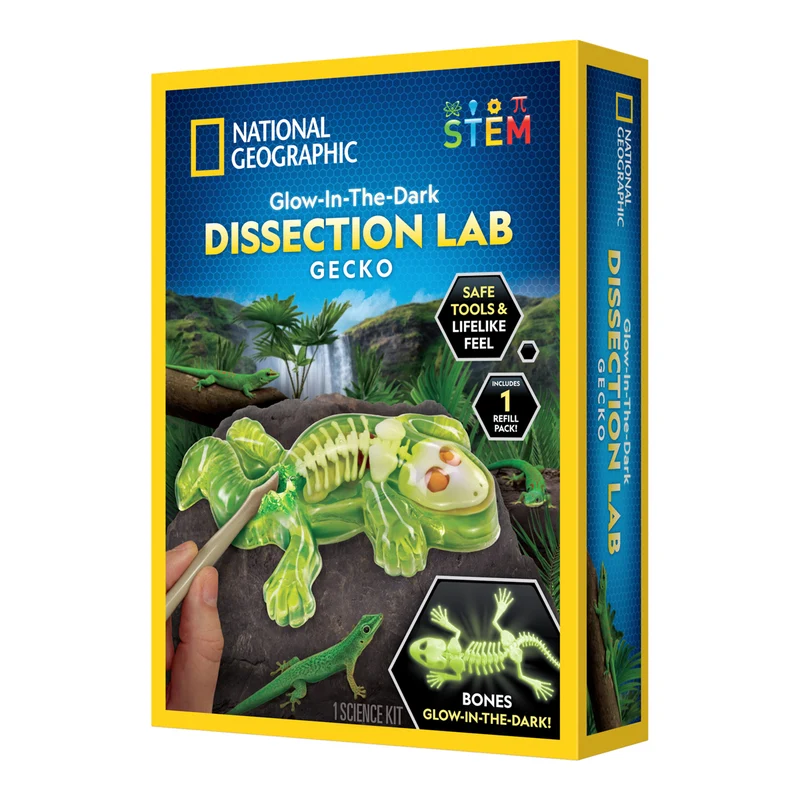 National Geographic, Dissekering av Gekko - Lyser i mörker