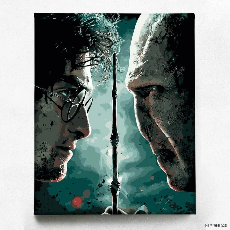 Harry vs Voldemort - Siffermålningskit
