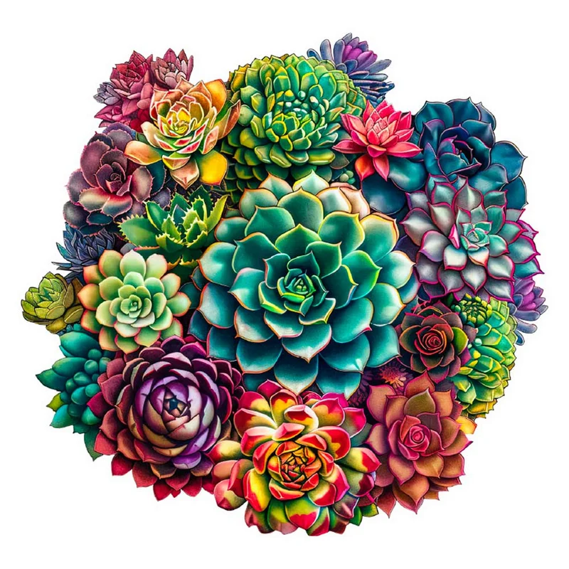 Mandala suckulenta växter - Pussel