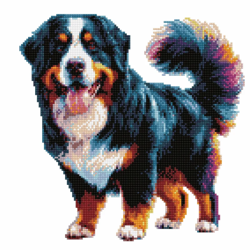 Berner sennenhund - Diamond Painting Kit