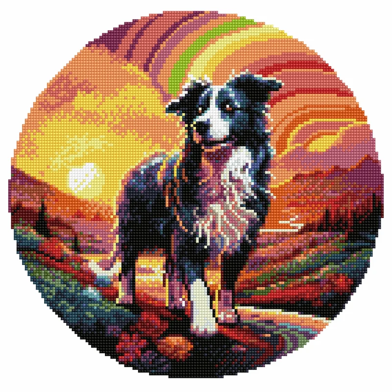 Border Collie hund - Diamond Painting Kit