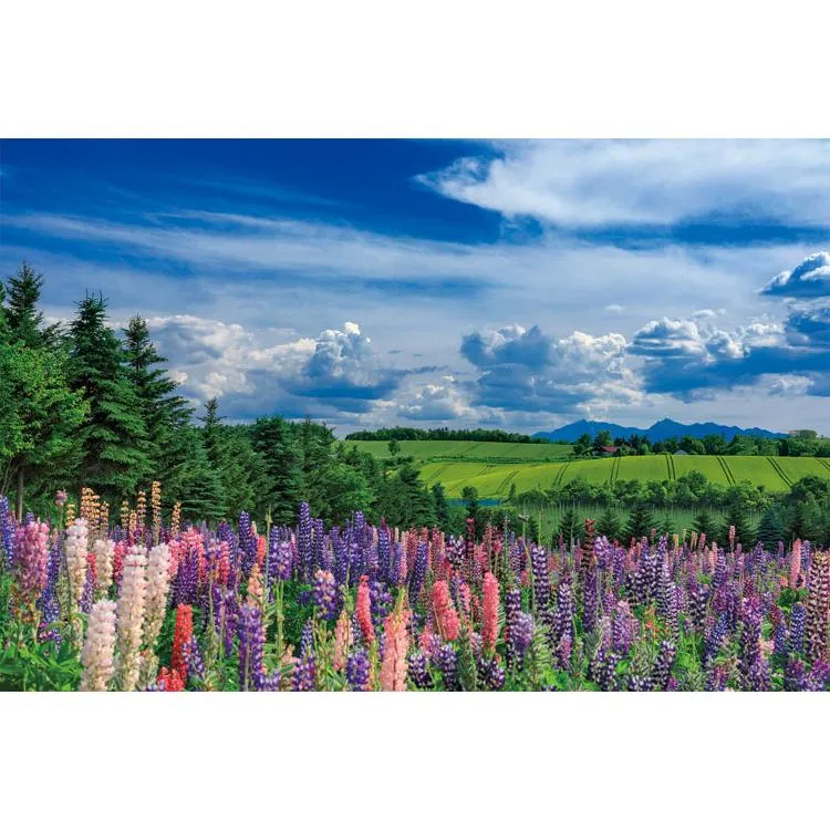 Pussel Tidig sommarbris i Kamifurano Hokkaido [CP-NT] 1000 bitar YAM-10-1466