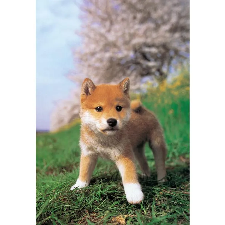 Pussel Jag är en Shiba Inu! 108 bitar YAM-01-2071 YANOMAN