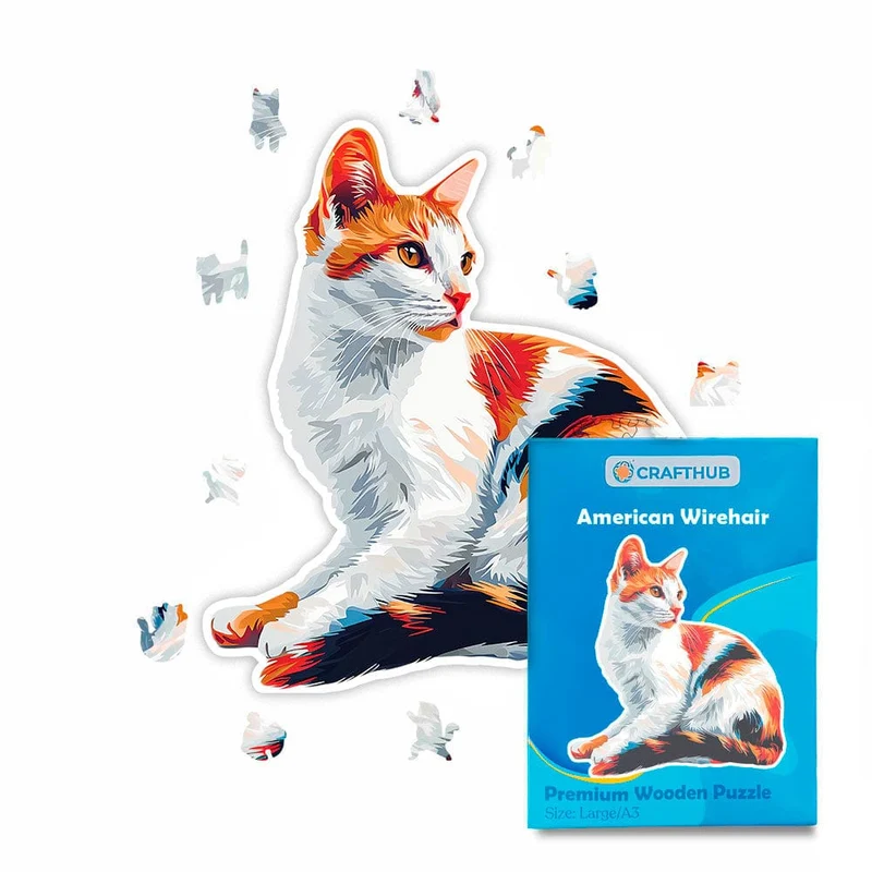 American Wirehair - pussel