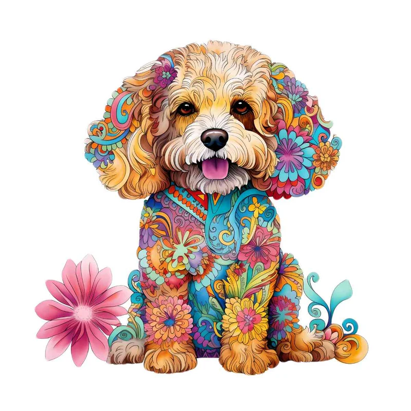 Cavapoo hund - pussel