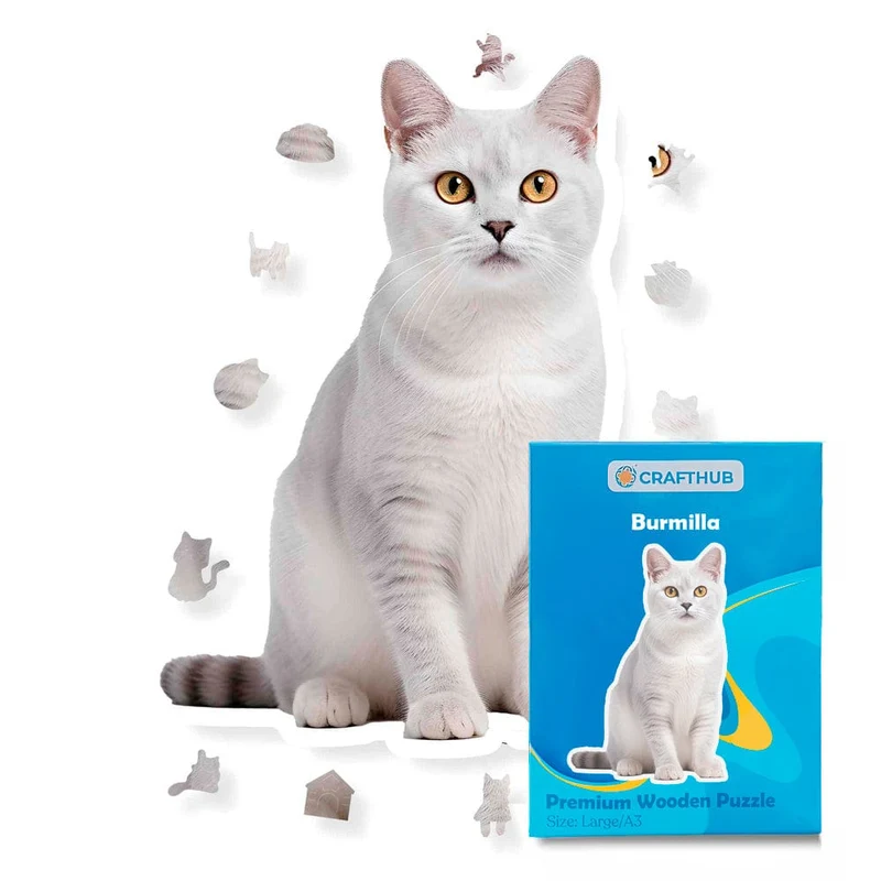 Burmilla katt - pussel