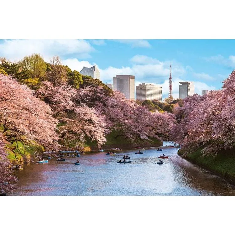 Pussel Chidorigafuchi Körsbärsblommor Utsikt över Tokyo 1000 bitar YAM-10-1436 YANOMAN