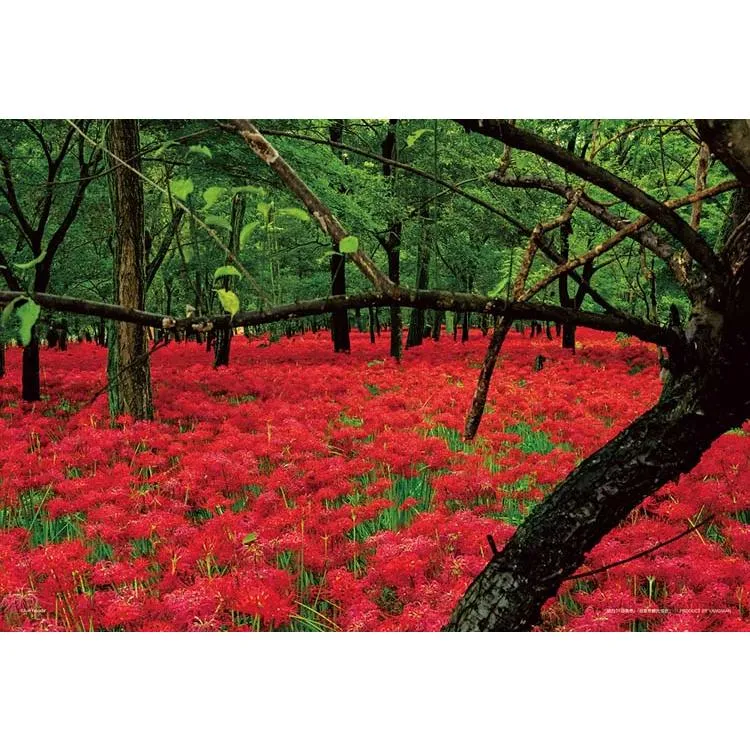 Pussel Kinchakuda Red Spider Lily Park Saitama 300 bitar YAM-03-944