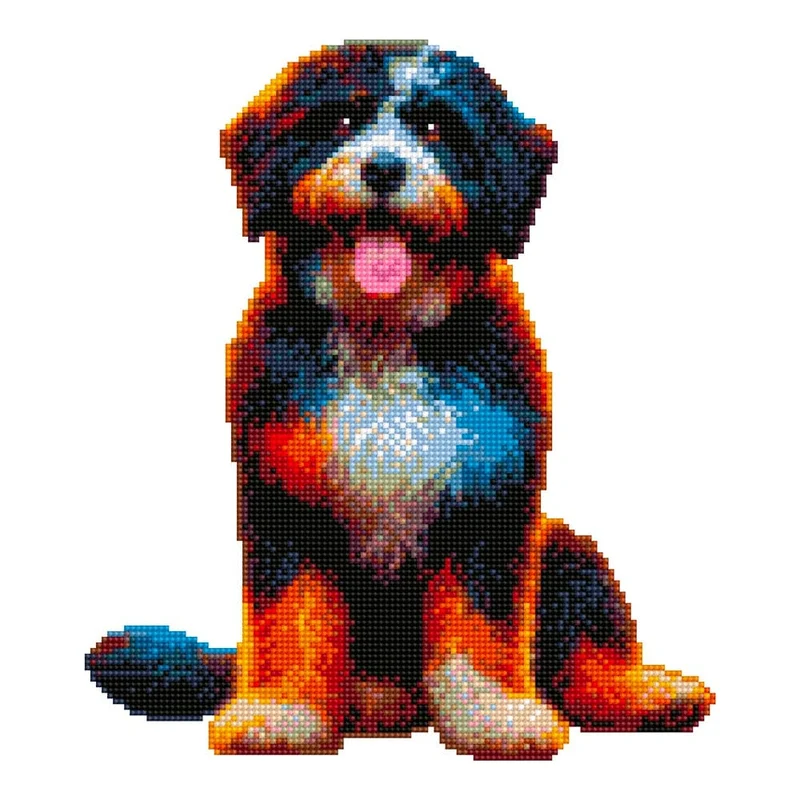 Portugisisk vattenhund - Diamond Painting Kit
