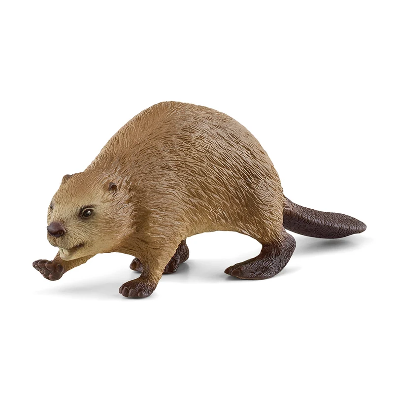 Schleich bäver