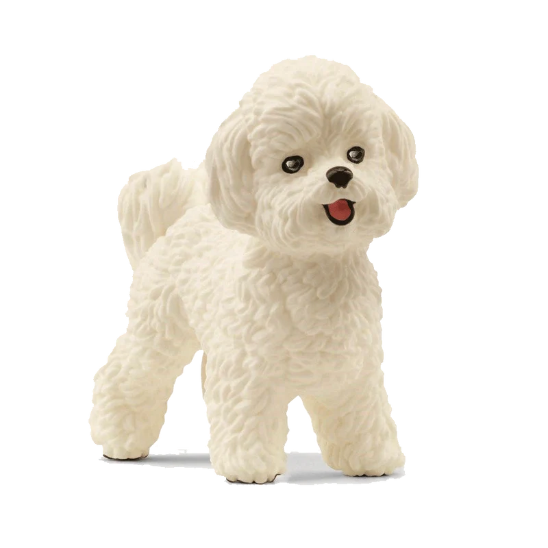 Schleich Bichon Frisé