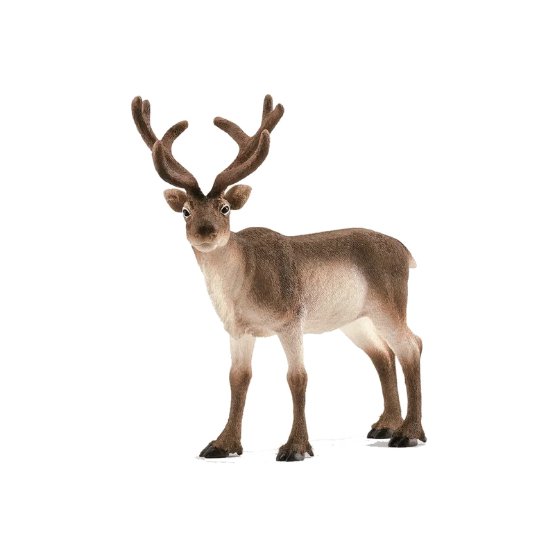 Schleich Wild Life, Ren
