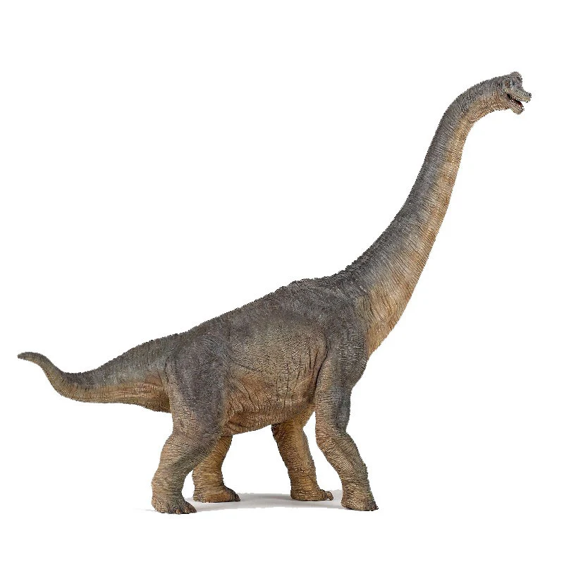 Papo dinosaurie, Brachiosaurus – långhals