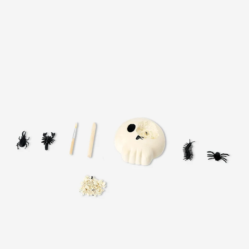Excavation kit - Skull