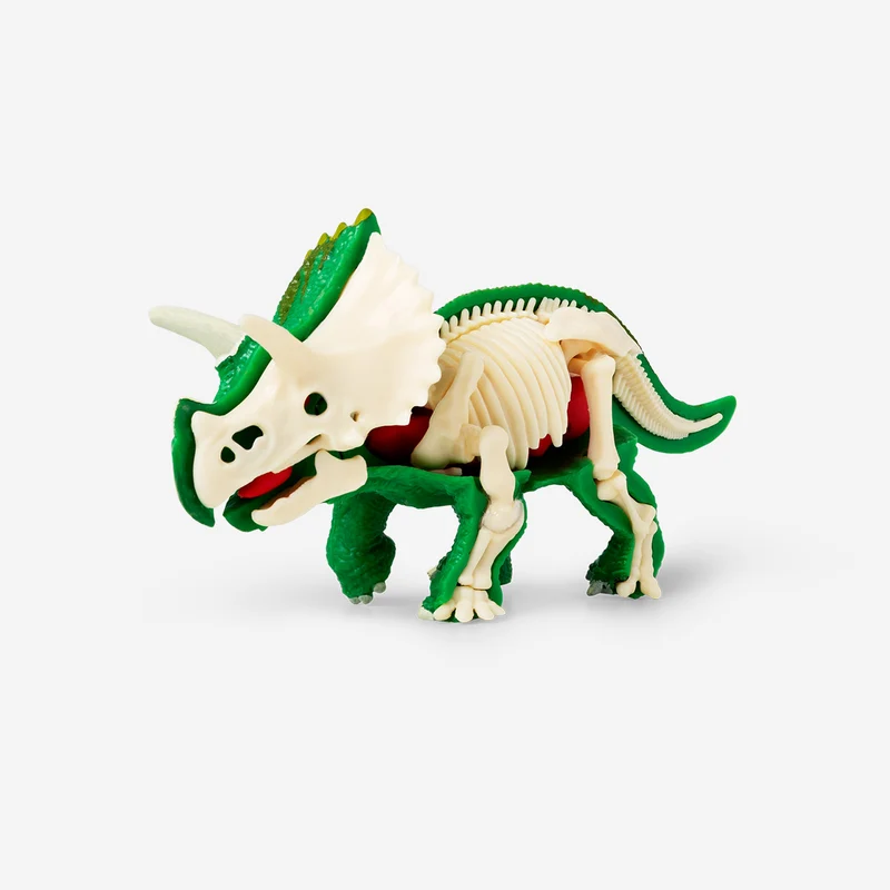 DIY 3D anatomical Triceratop puzzle