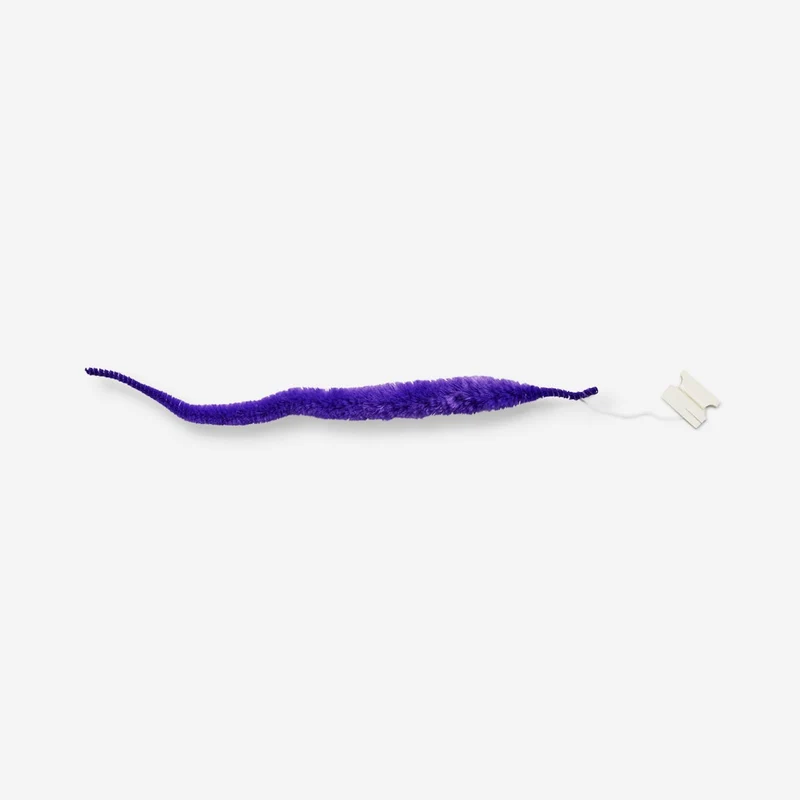 Purple Twisty Worm