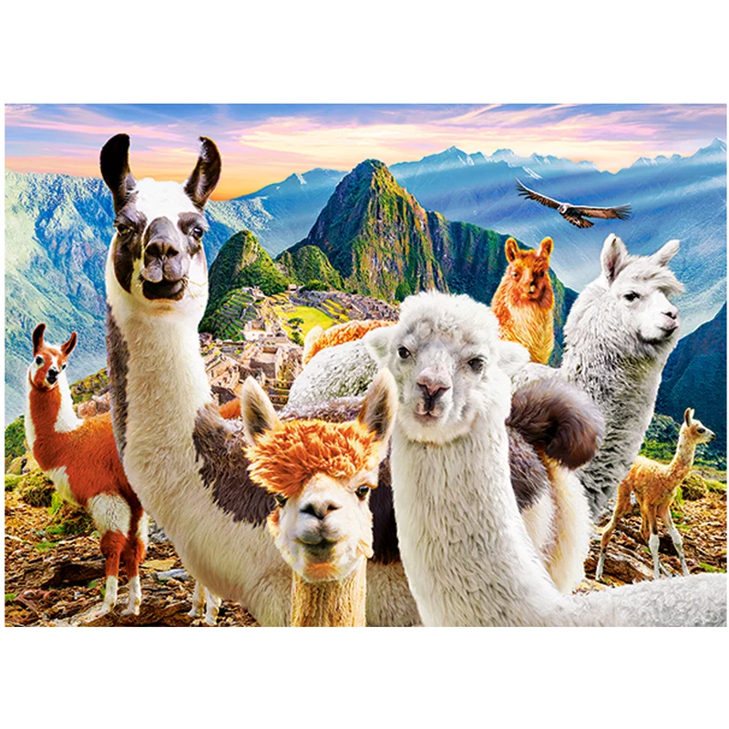 Llamas selfie