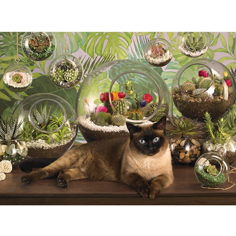 Terrariumkatten