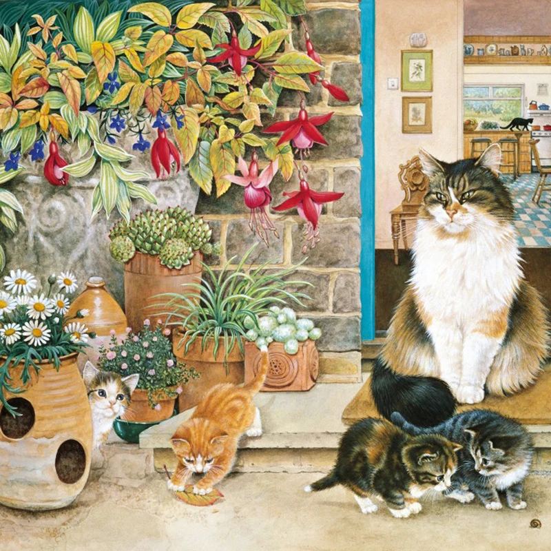 Agneatha and her kittens on the doorstep