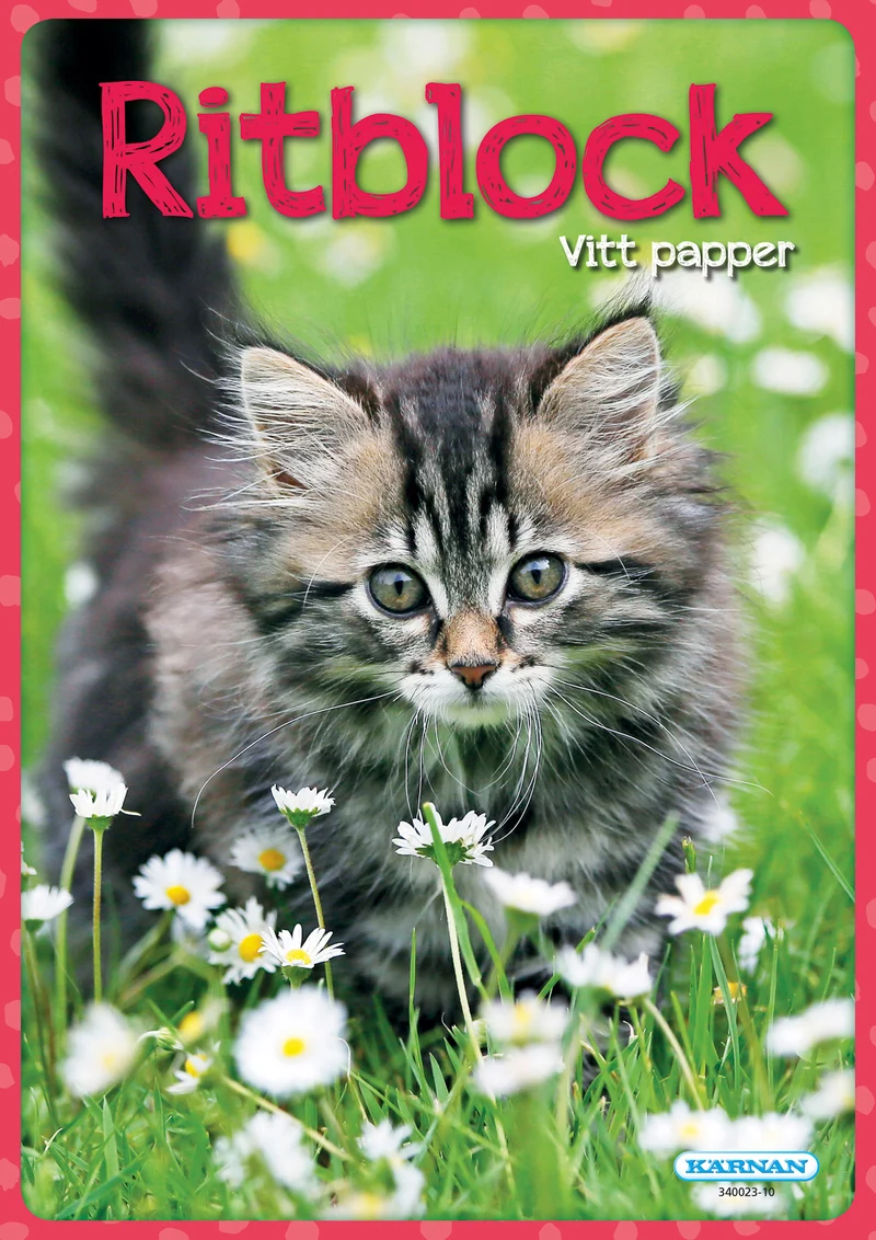 Ritblock - katt