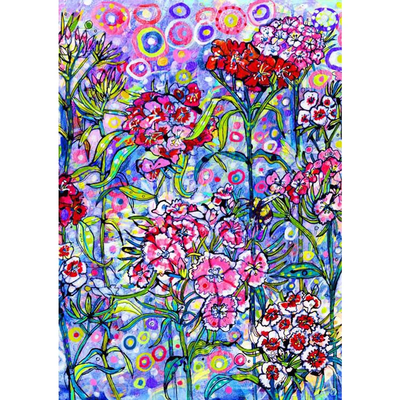 Sweet William