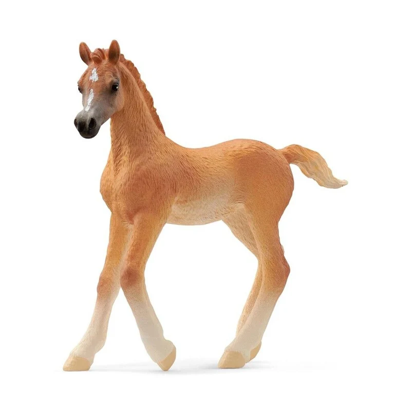 Schleich häst, Arabiskt föl