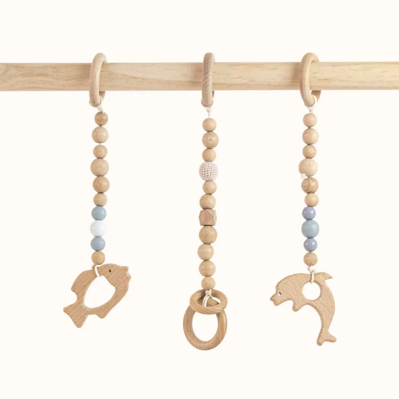 Wooden Baby Gym | Fishs Play Gym Set with Wooden Ring Toys